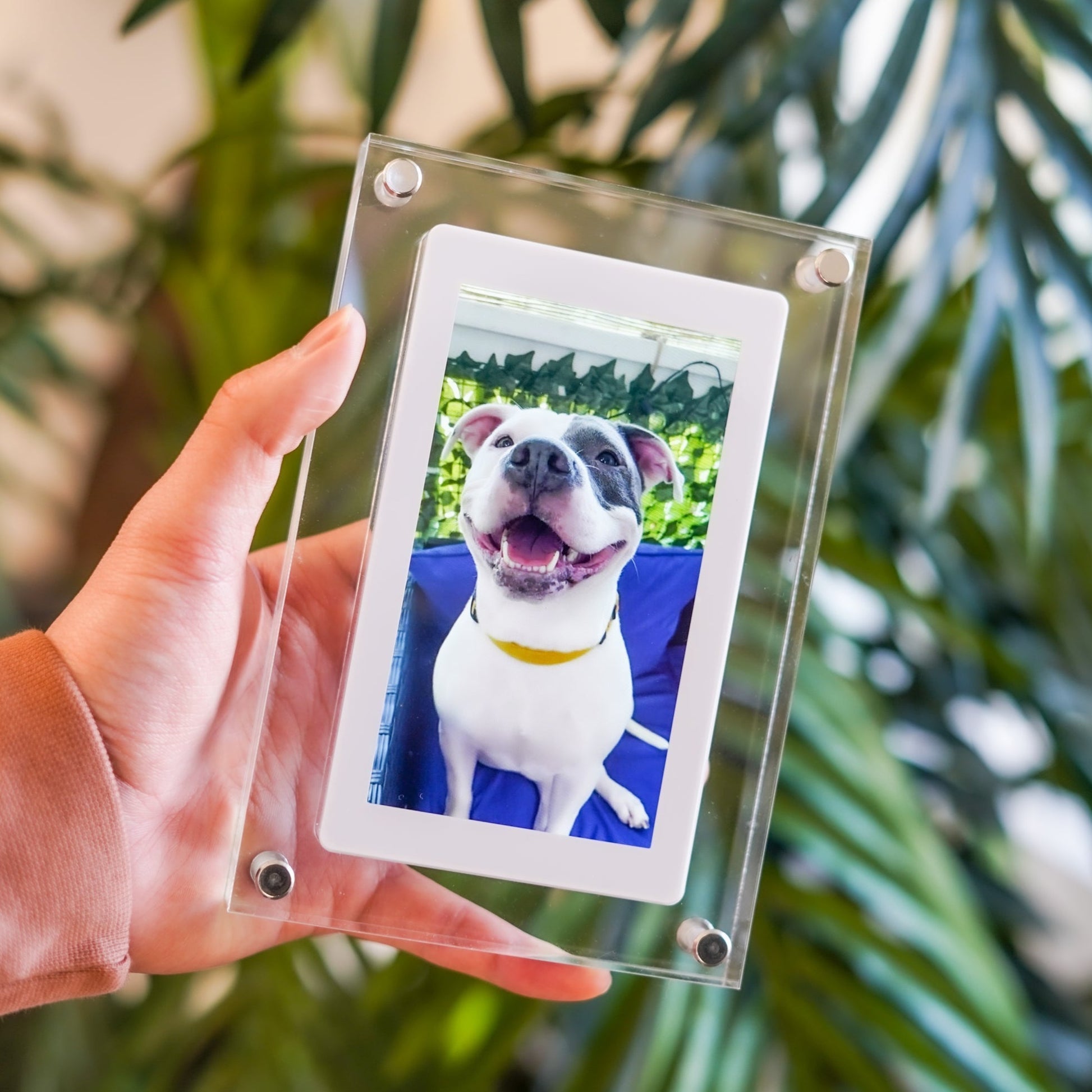 Digital Photo Frame - Linemory