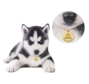 Personalized Pet ID Tag – Custom Engraved Anti - Lost Pendant - Linemory